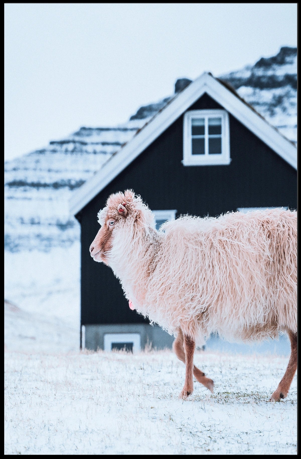 Winter Serenity Poster