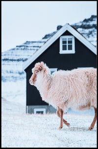 Winter Serenity Poster