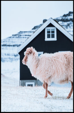 Winter Serenity Poster