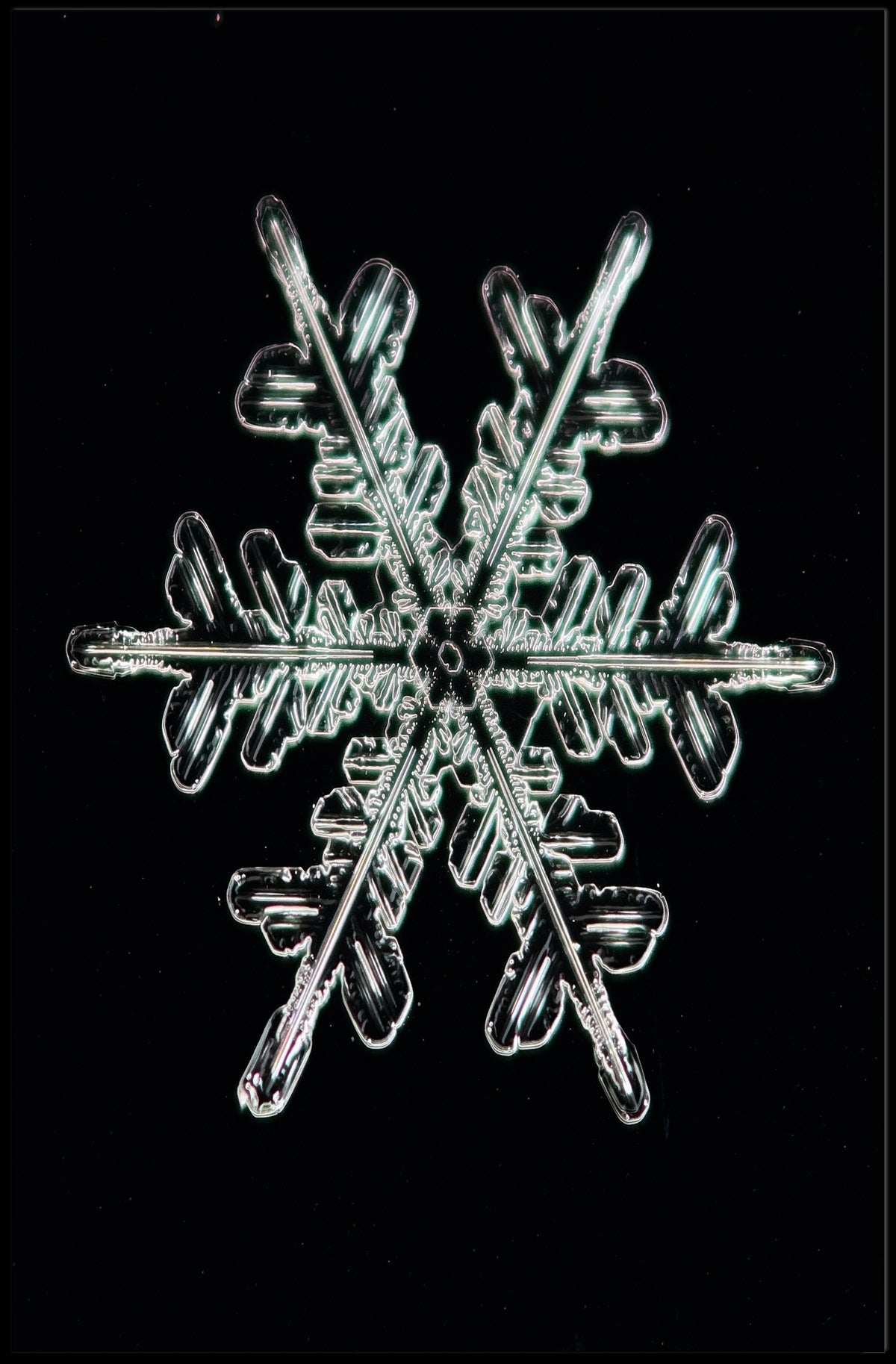 Intricate Snowflake Design Poster
