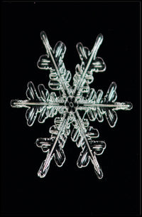 Intricate Snowflake Design Poster