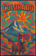 Colorado Psychedelic Poster