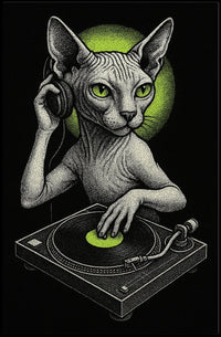 Dj Cat Groove Poster