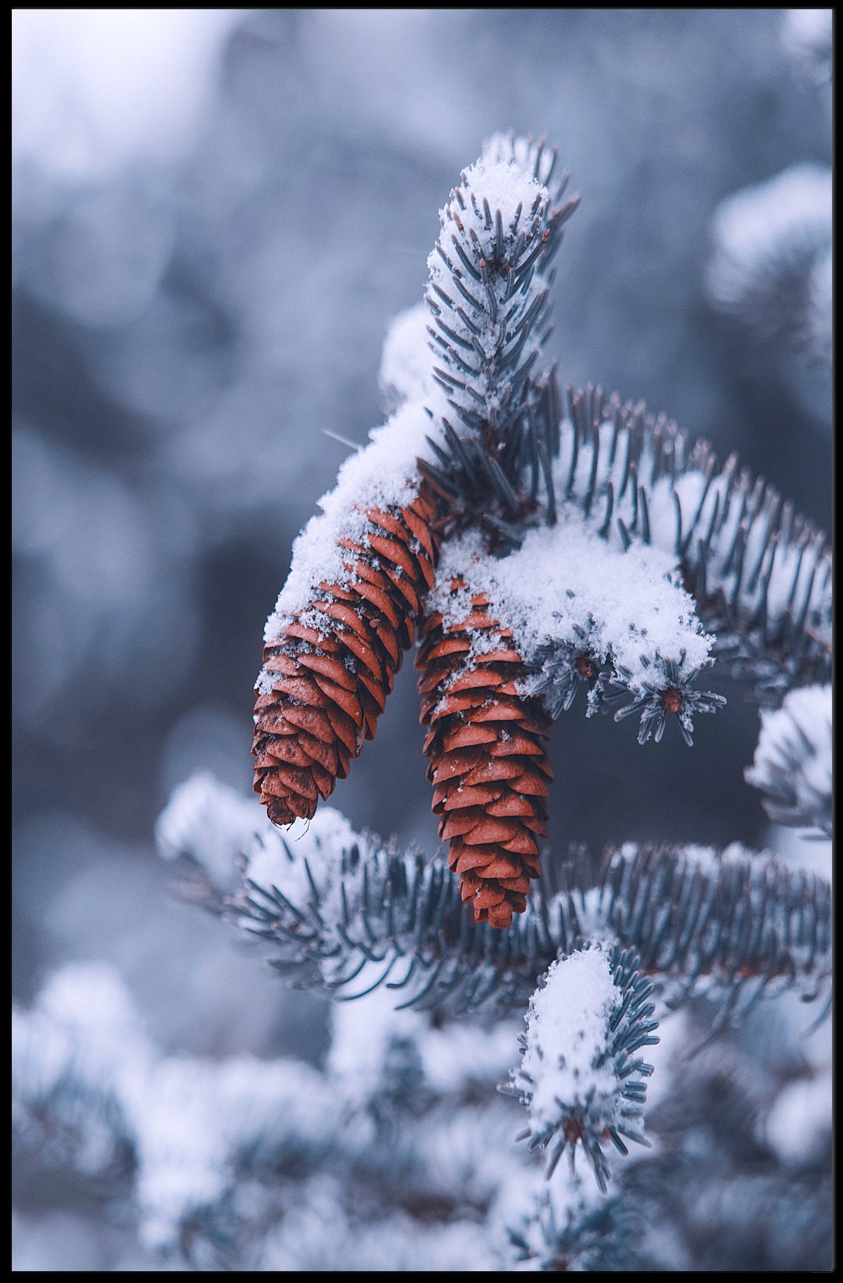 WinterS Embrace Poster