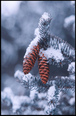 WinterS Embrace Poster