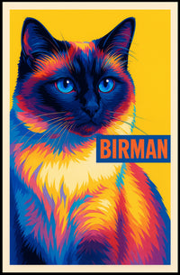 Vibrant Birman Cat Poster