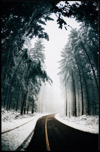 Winter Road Serenity, National Park Poster