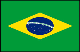 Brazil Flag Poster