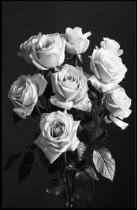 Striking Black-and-White Roses Photorealistic Art Poster PosterGoat