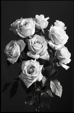 Striking Black-and-White Roses Photorealistic Art Poster PosterGoat