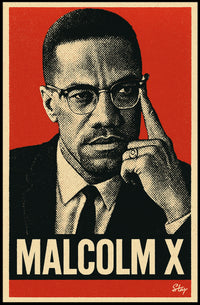 Malcolm X Iconic Leader Poster