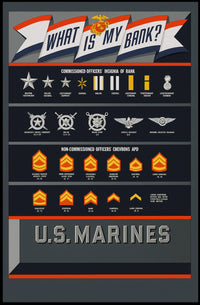 U.S. Marines Rank Insignia Poster PosterGoat