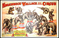 Hagenbeck-Wallace Wild Animal Circus Poster