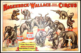 Hagenbeck-Wallace Wild Animal Circus Poster