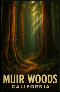 Muir Woods California Poster