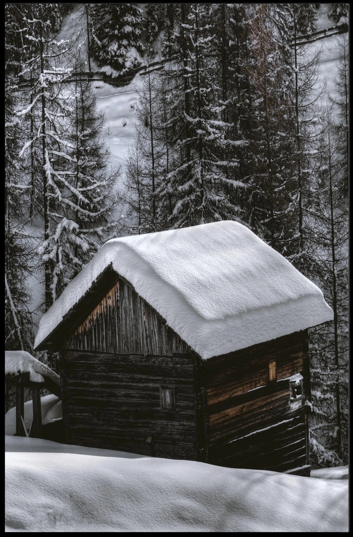Snow-Covered Cabin in Winter National Park Poster