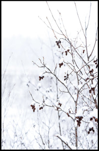 Winter Serenity Poster