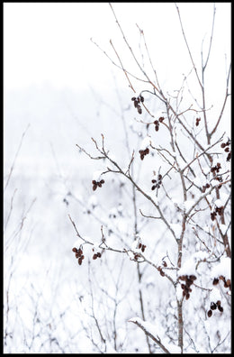 Winter Serenity Poster