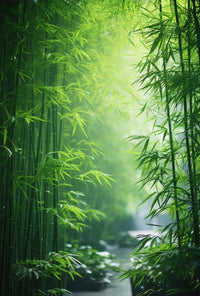Enchanting Bamboo Grove in East Asian Heritage Poster