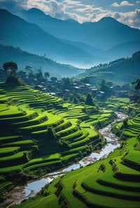 Terraced Rice Fields Nature Art Poster