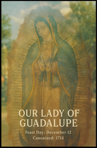 Our Lady Of Guadalupe Poster