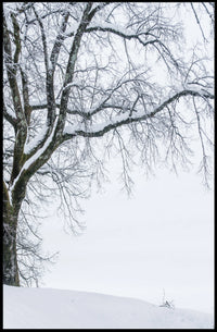 Winter Serenity Poster