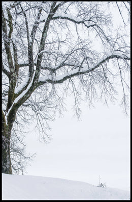 Winter Serenity Poster