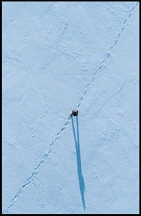 Solitary Path In Snow Poster