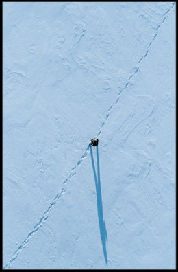 Solitary Path In Snow Poster