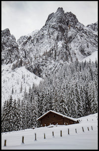 Serene Alpine Cabin in Winter Wonderland National Park Poster