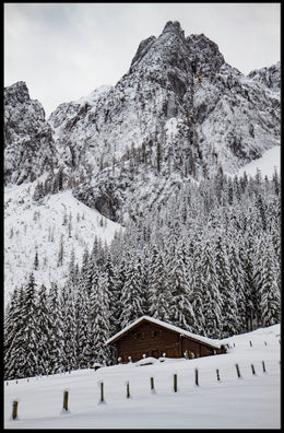 Serene Alpine Cabin in Winter Wonderland National Park Poster