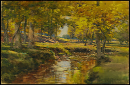Serene Woodland Stream Poster
