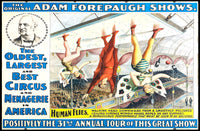 Adam Forepaugh Shows – 31st Annual Tour Poster