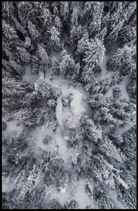 Winter Aerial Snowy Forest Scene National Park Poster