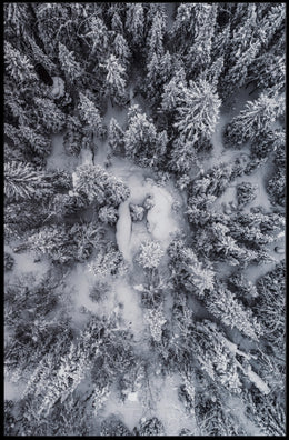 Winter Aerial Snowy Forest Scene National Park Poster
