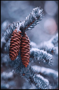 WinterS Embrace Poster