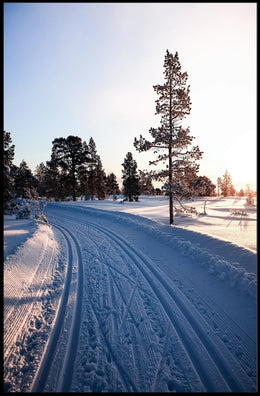 Winter Serenity Poster