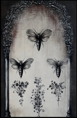 Entomology and Botanical Vintage Artistic Poster PosterGoat