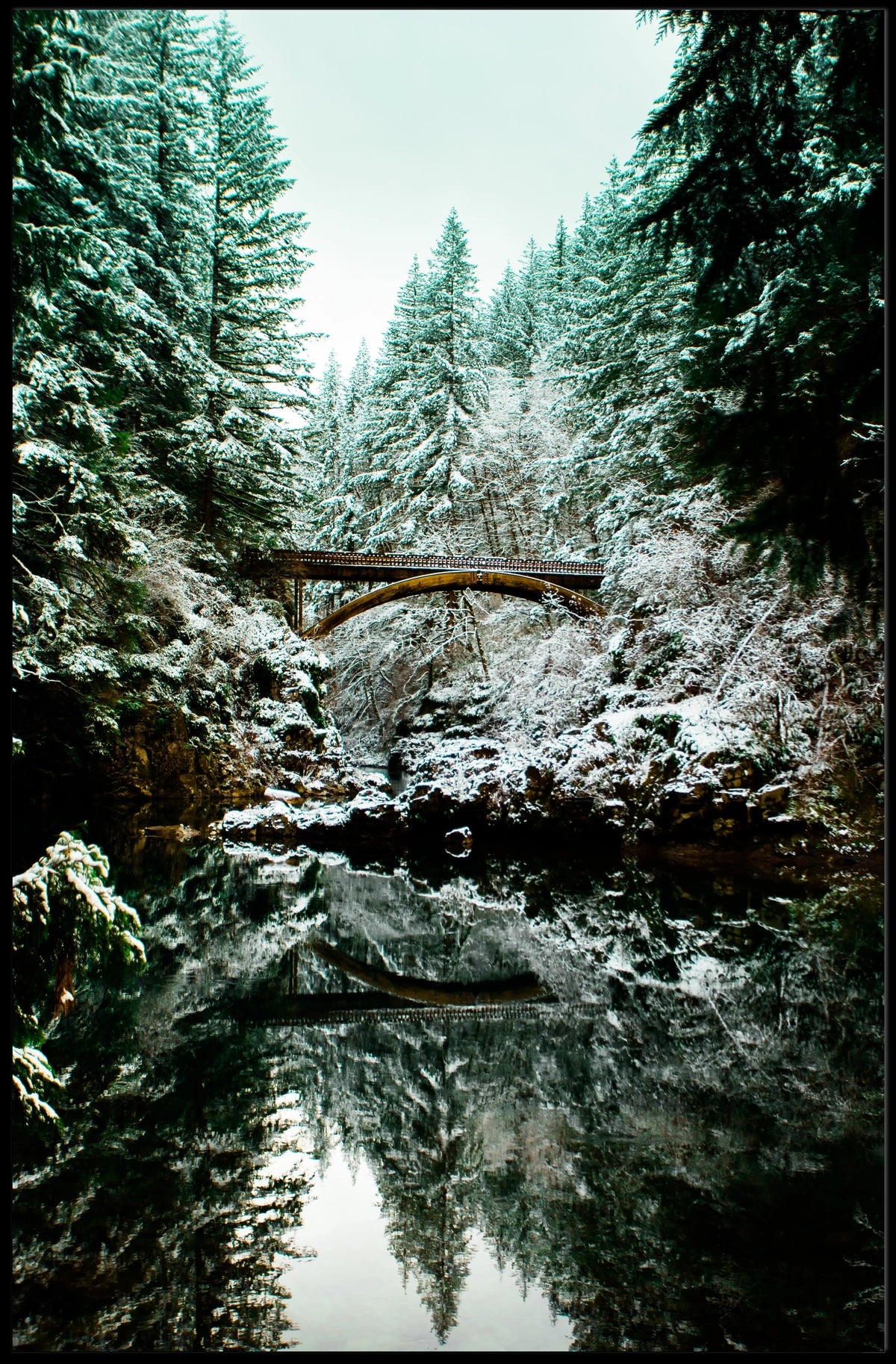 Serene Winter Landscape Scenic National Park Poster