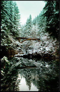 Serene Winter Landscape Scenic National Park Poster