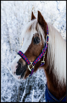 Winter Elegance Poster