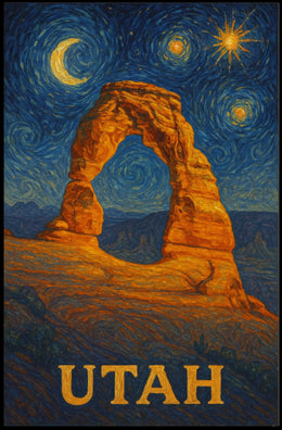 Delicate Arch Under Starry Night in National Park Poster