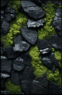 NatureS Contrast Poster