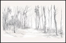 Tranquil Winter Forest Pencil Sketch Art Poster