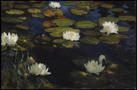 Water Lilies Tranquil Scene Artistic Poster