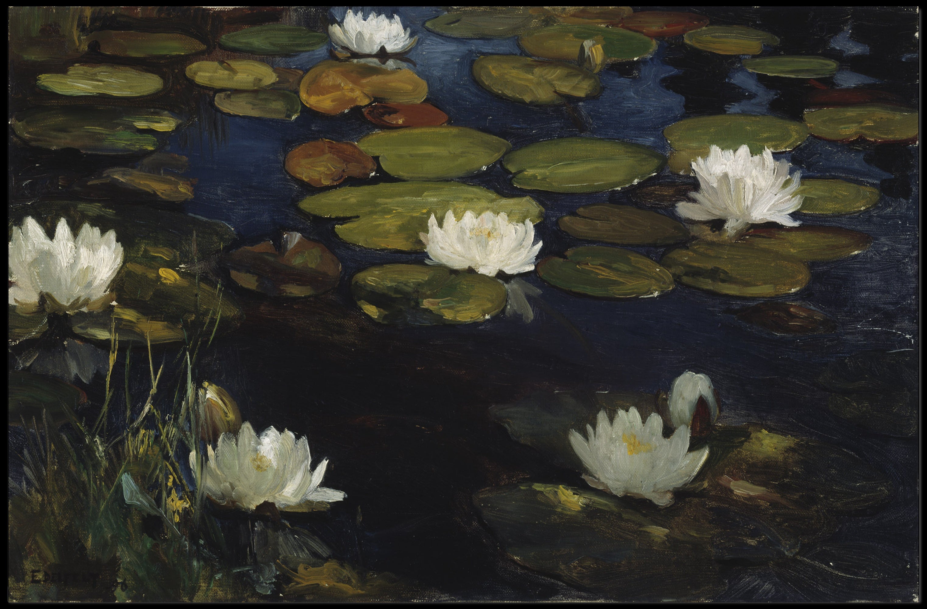Water Lilies Tranquil Scene Artistic Poster