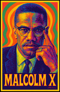 Malcolm X Poster