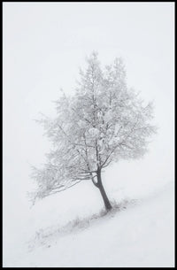 Winter Serenity: Minimalist Snowy Tree Artistic Poster