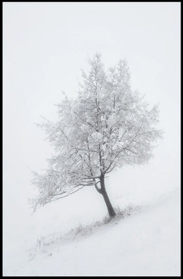 Winter Serenity: Minimalist Snowy Tree Artistic Poster
