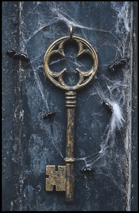 The Enchanted Key Poster